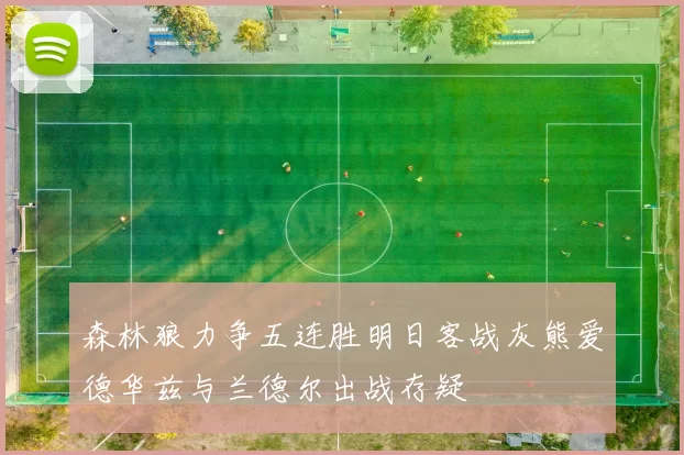 森林狼力争五连胜明日客战灰熊爱德华兹与兰德尔出战存疑