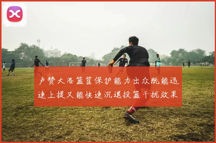 卢赞大洛篮筐保护能力出众既能迅速上提又能快速沉退投篮干扰效果显著